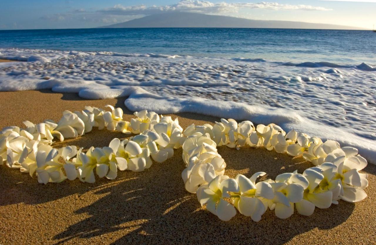 Great Diamond Head Views, 2Br Condo With Free Parking! Honolulu Luaran gambar